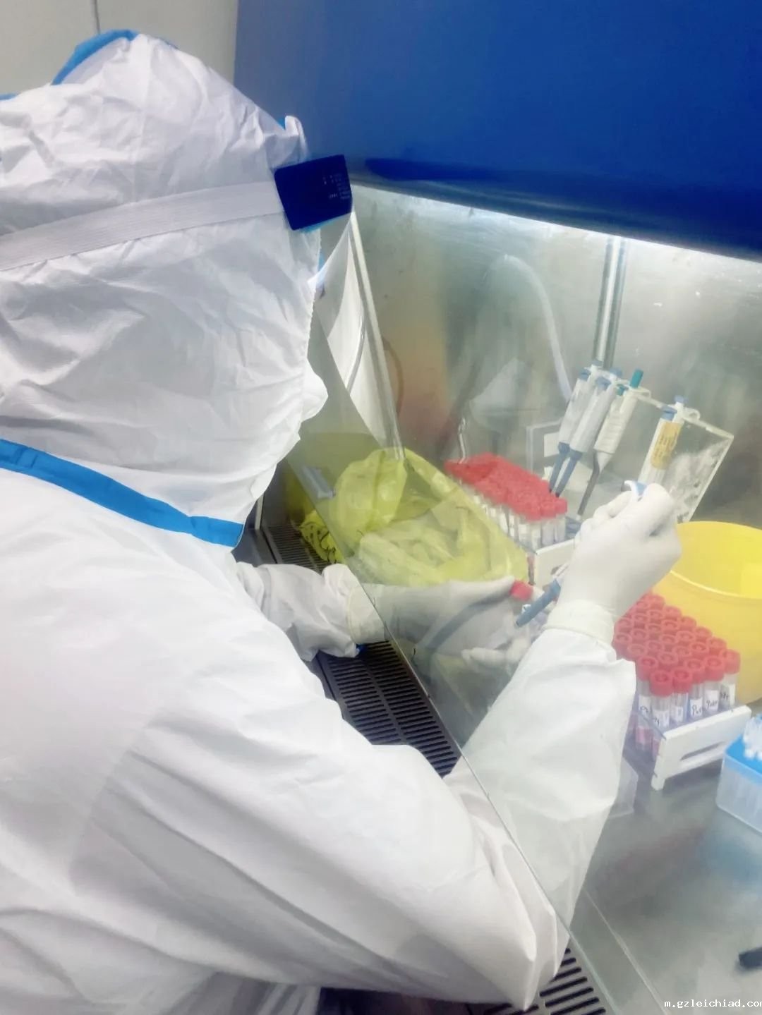 太医PCR实验室里的“检验尖兵”，“火眼金睛”让病毒无处可藏！